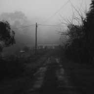 brinkish_0