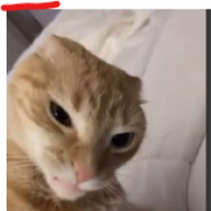 vinlyx