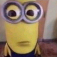 Timpalimpa11