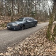 29503241