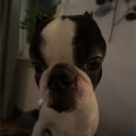 GURKISSEN