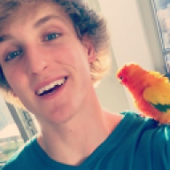 wingping