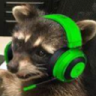 Racoon Smith