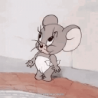 Bumbibjörn
