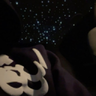 Wuzz