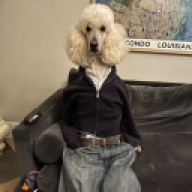 Doow