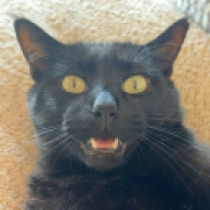 skitzo
