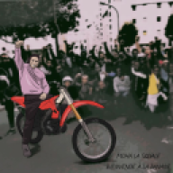 mohalasquale331