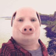 fiifty