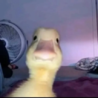 Potathis