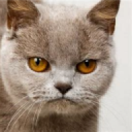 h7a