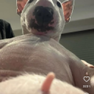 CDY