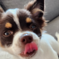 Emizach