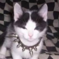 husserp