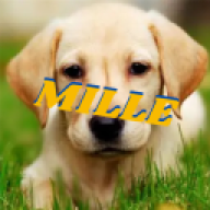 Mille9612