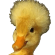 liamarepro