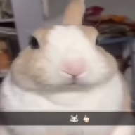 byebye14
