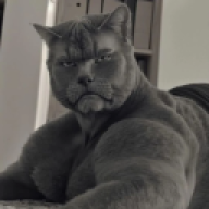 Billyboss