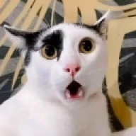 vic.ster
