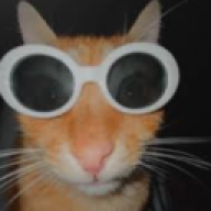 realtheo69