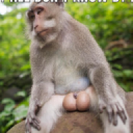 CabbeLito