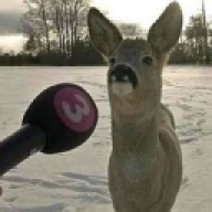Sv2rt