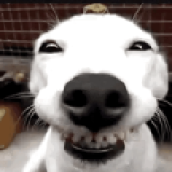 Casper1234