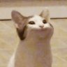 Dompiss