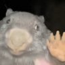 Benne00