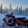 Arga Norrläningen