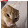 vinlyx