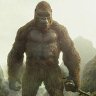 bigkongmaster