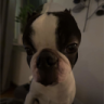 GURKISSEN