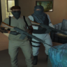 DMelv