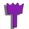 TSNPG