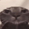scary_power
