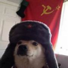 Vbviktor7