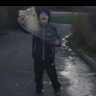 NalleBjorn10_123
