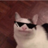 nighttrvcemos