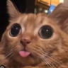 Kunay