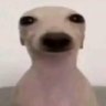 MrBomba
