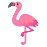 z1ngo