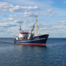 Siggelarsson