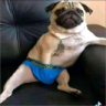 Oliver Citronbuske