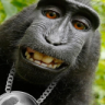rippie hellbeezer
