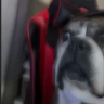 Hugo_20