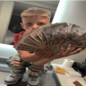 topmanlukas