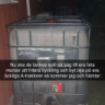 hampoliteen