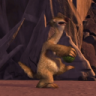 Derreq