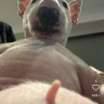 CDY